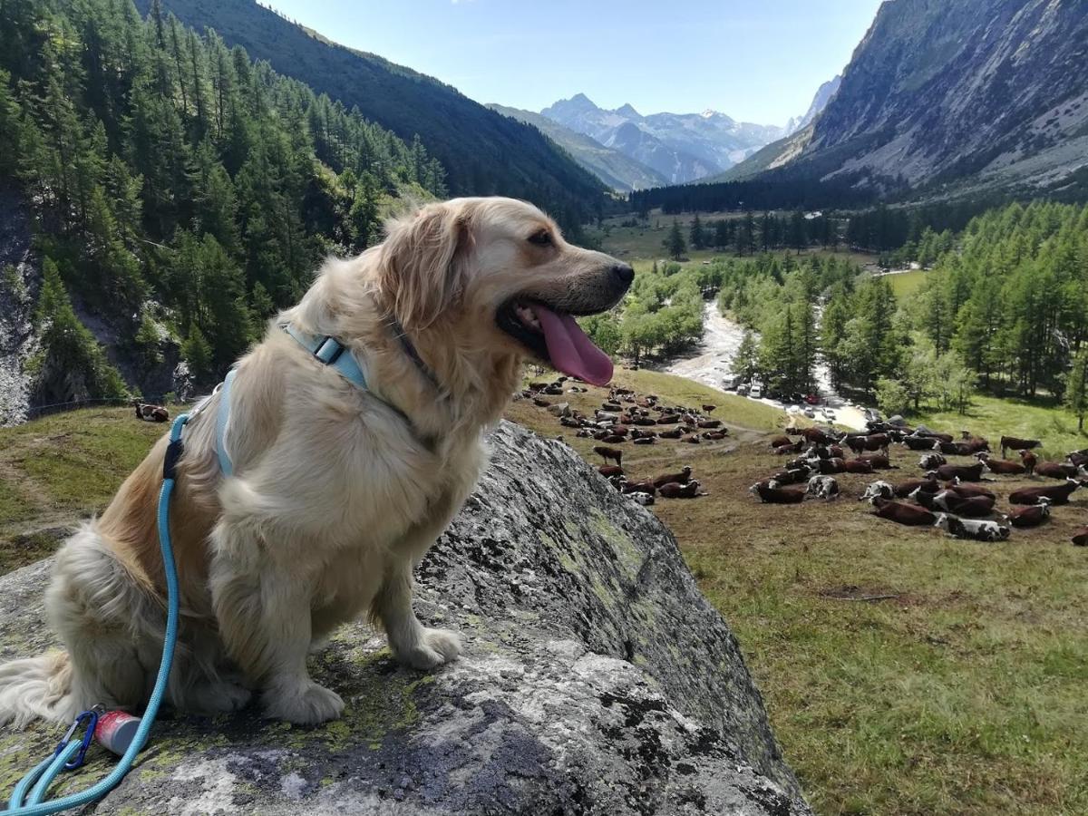 Casa Lucy Appartamento Aosta Esterno foto